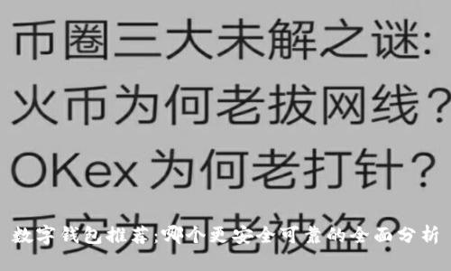 数字钱包推荐：哪个更安全可靠的全面分析