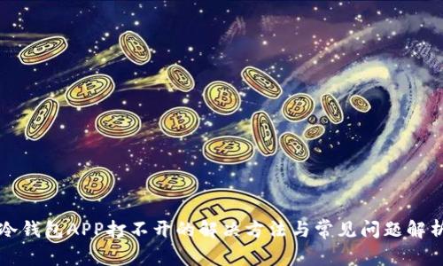 冷钱包APP打不开的解决方法与常见问题解析