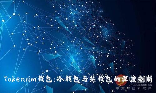 Token.im钱包：冷钱包与热钱包的深度剖析