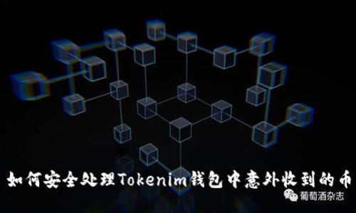 如何安全处理Tokenim钱包中意外收到的币