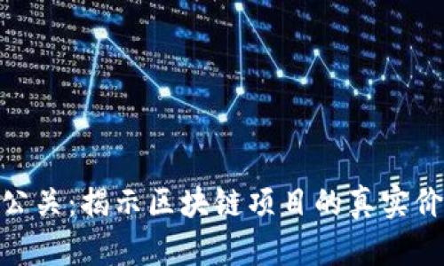 Tokenim测评公关：揭示区块链项目的真实价值和市场潜力