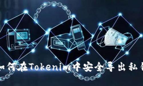 如何在Tokenim中安全导出私钥
