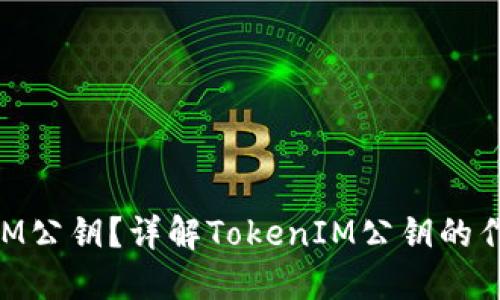 什么是TokenIM公钥？详解TokenIM公钥的作用与使用方法
