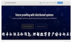 比特币私钥与冷钱包：理解数字资产安全的关键