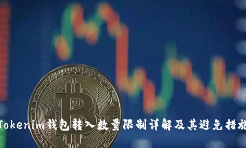Tokenim钱包转入数量限制详解及其避免措施