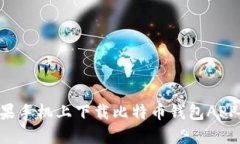 如何在苹果手机上下载比特币钱包APP：详细指南