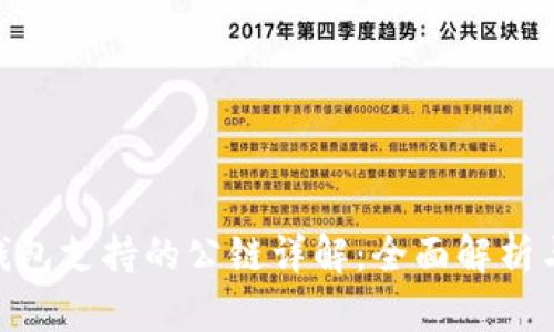 Tokenim钱包支持的公链详解：全面解析与未来展望
