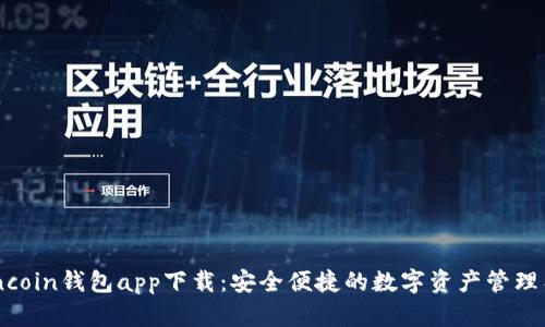 Owncoin钱包app下载：安全便捷的数字资产管理工具