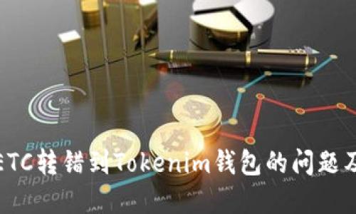 如何处理ETC转错到Tokenim钱包的问题及解决方案