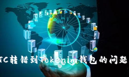 如何处理ETC转错到Tokenim钱包的问题及解决方案