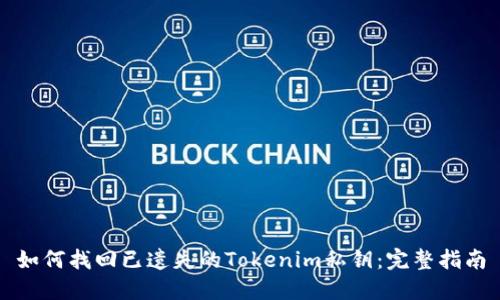 如何找回已遗失的Tokenim私钥：完整指南