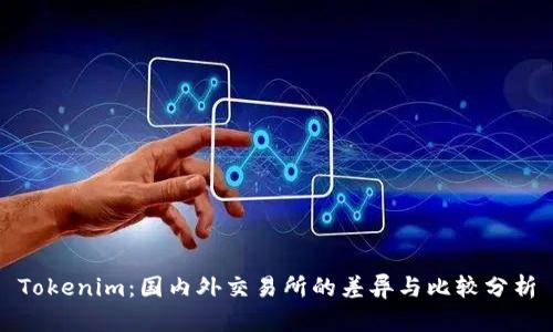 Tokenim：国内外交易所的差异与比较分析