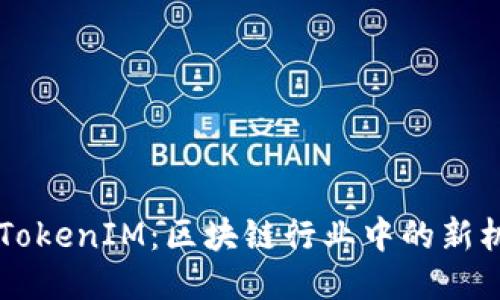 星河互娱TokenIM：区块链行业中的新机遇与挑战