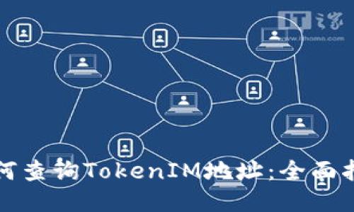 如何查询TokenIM地址：全面指南