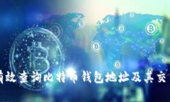 如何有效查询比特币钱包