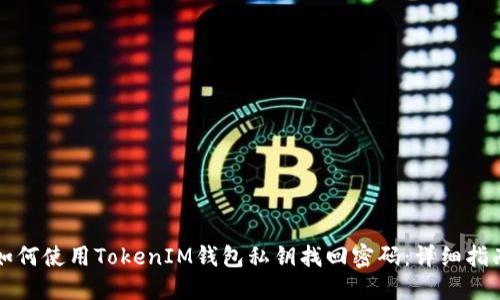 如何使用TokenIM钱包私钥找回密码：详细指南