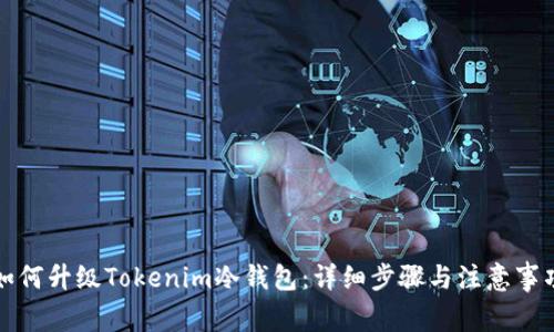 如何升级Tokenim冷钱包：详细步骤与注意事项