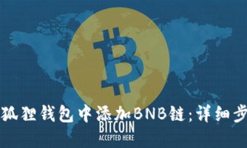 如何在小狐狸钱包中添加BNB链：详细步骤与指南