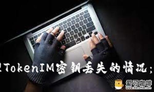 如何处理TokenIM密钥丢失的情况：详细指南