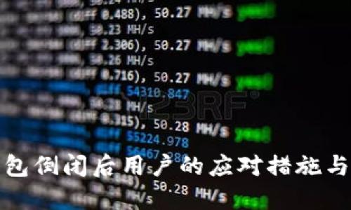 冷钱包倒闭后用户的应对措施与选择