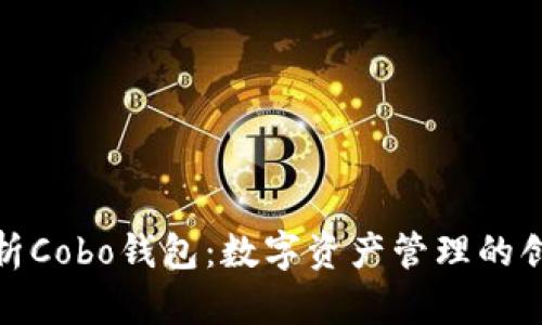 深度解析Cobo钱包：数字资产管理的创新先锋