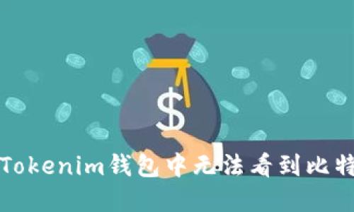 如何解决Tokenim钱包中无法看到比特币的问题