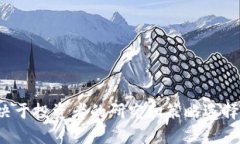    如何在TokenIM20中成功投