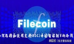 如何选择和使用支持BSC（