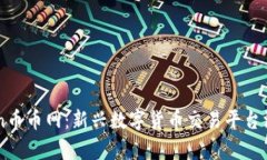 Coincoin币币网：新兴数字货币交易平台深度解析