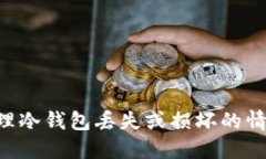 如何处理物理冷钱包丢失或损坏的情况：全面指