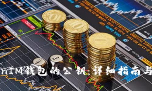 如何找回TokenIM钱包的公钥：详细指南与常见问题解答