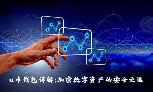 u币钱包详解：加密数字资产的安全之选