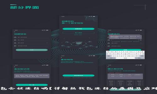 热钱包会被冻结吗？详解热钱包冻结的原因及应对策略