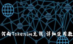如何向Tokenim充钱：详细使