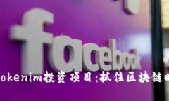 深度解析Tokenim投资项目：