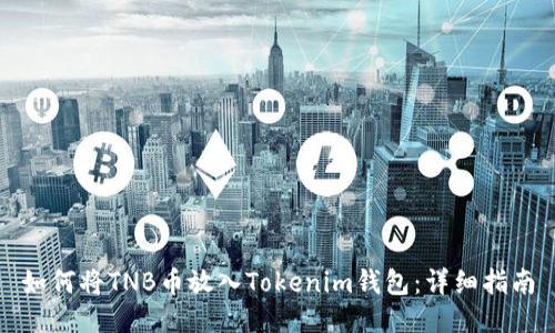 如何将TNB币放入Tokenim钱包：详细指南