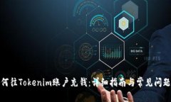 : 如何往Tokenim账户充钱：