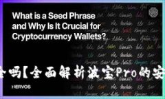波宝Pro安全吗？全面解析
