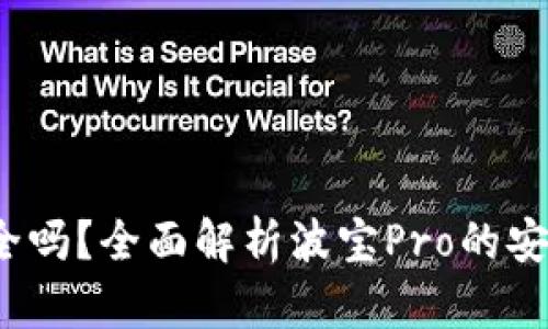 波宝Pro安全吗？全面解析波宝Pro的安全性与风险