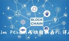 如何将Tokenim PChain成功转换