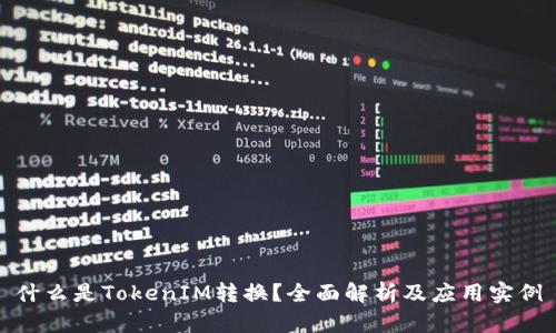 什么是TokenIM转换？全面解析及应用实例
