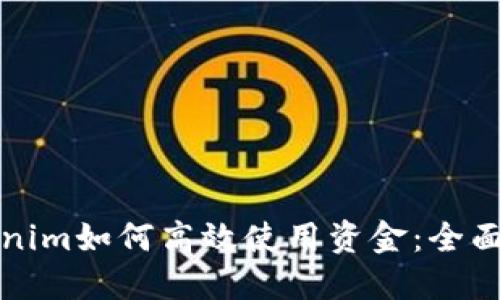 Tokenim如何高效使用资金：全面指南