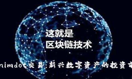 深入探讨Tokenimdot交易：新兴数字资产的投资前景与风险分析