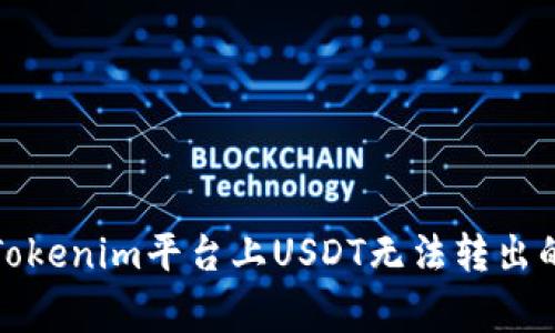 如何解决Tokenim平台上USDT无法转出的常见问题