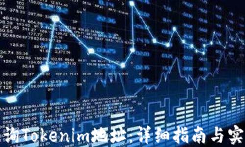 
如何查询Tokenim地址：详细指南与实用技巧