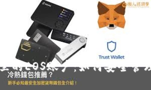 冷钱包里的EOS账户：如何安全管理和使用