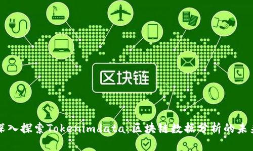 深入探索Tokenimdata：区块链数据分析的未来
