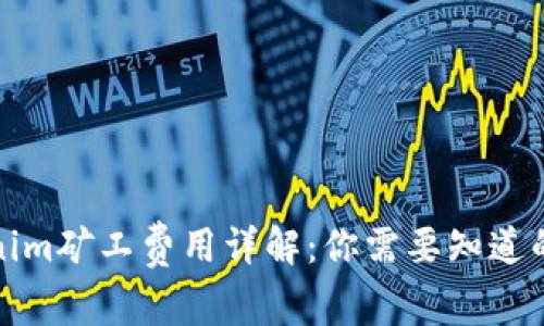 Tokenim矿工费用详解：你需要知道的一切
