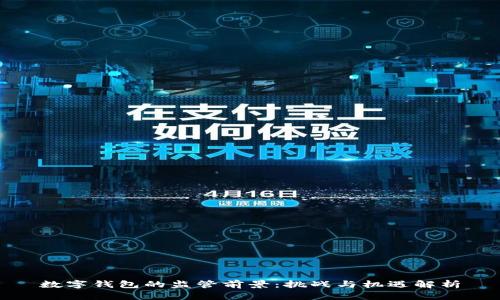 数字钱包的监管前景：挑战与机遇解析