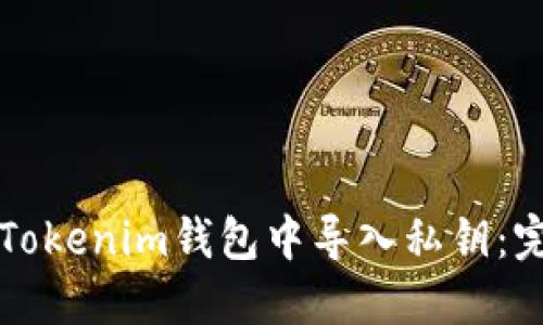如何在Tokenim钱包中导入私钥：完整指南